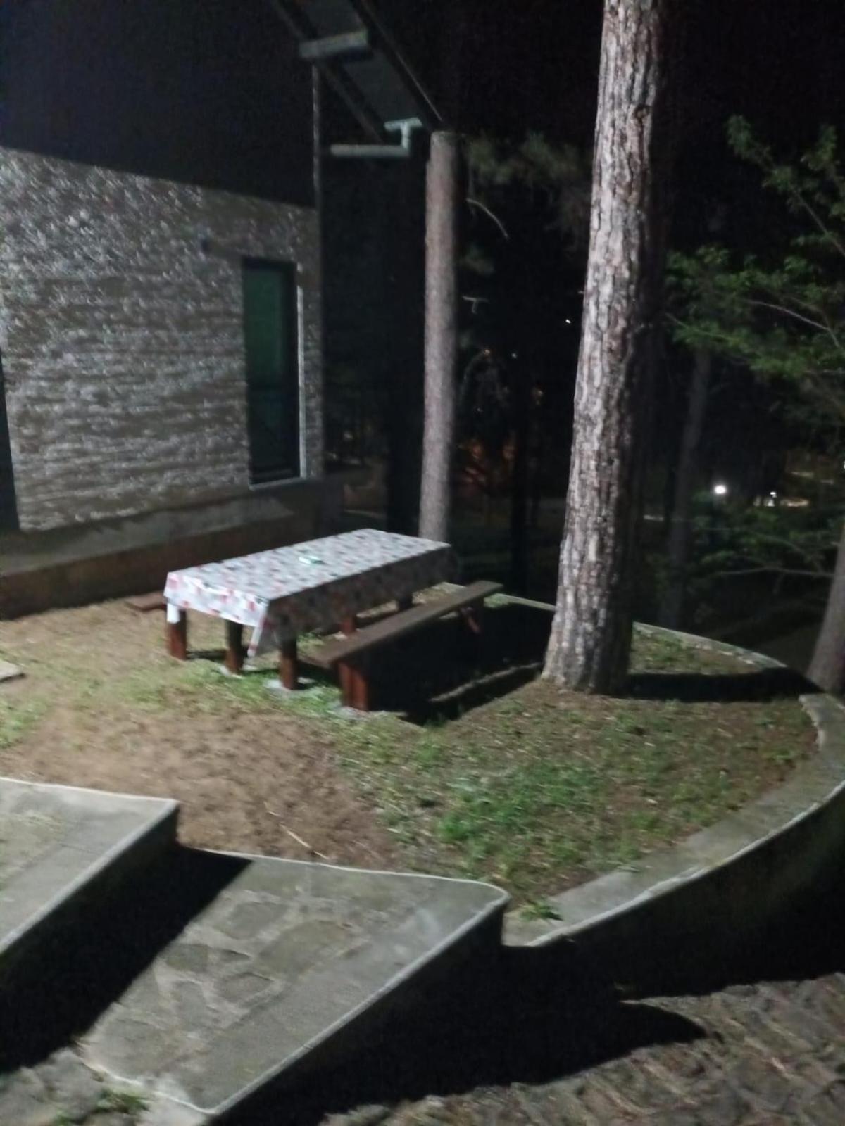 Apartmani Jelena