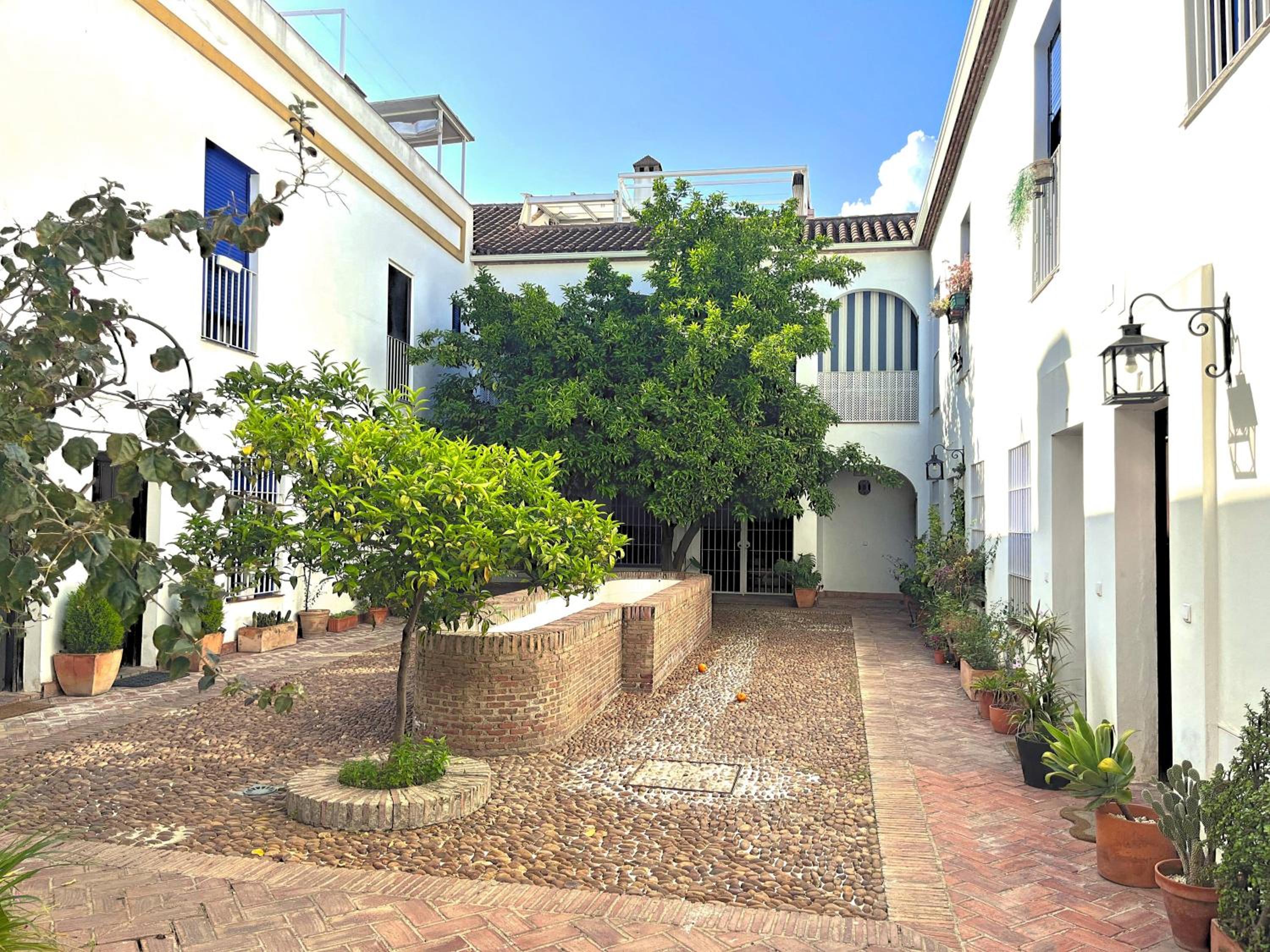 El Rincón del Azahar, dúplex con encanto view 5