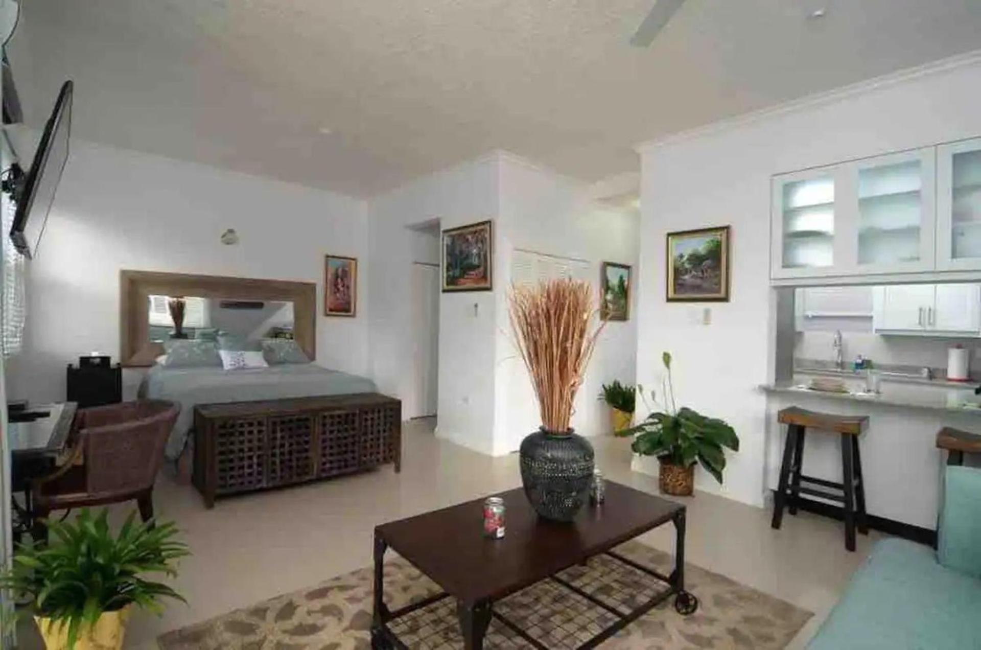 Smart Haven Studios in Kingston