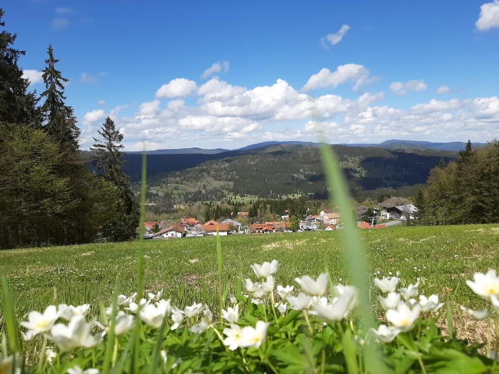 Ferienwohnung Schäfer im Landhaus Almberg App. 11 view 2