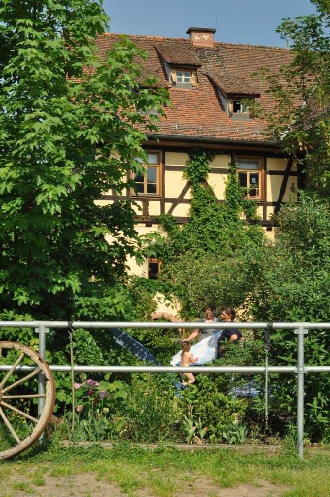 Photo 42