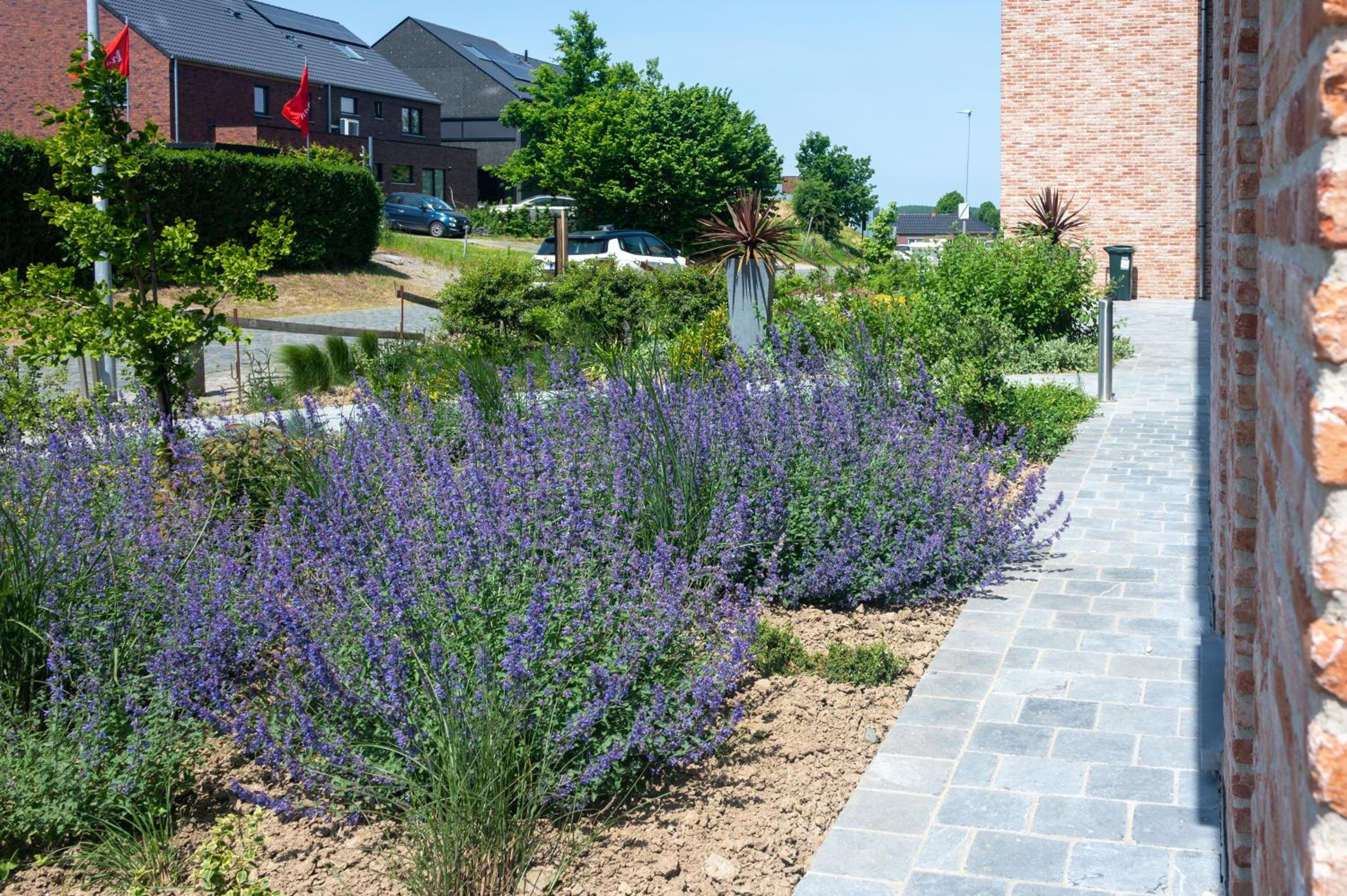 Flanders Cobblestone Paradise