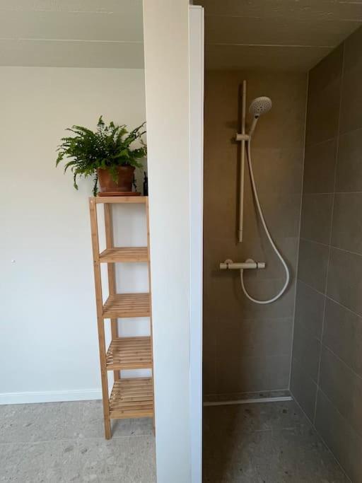 Vakantiewoning Renard Ronse