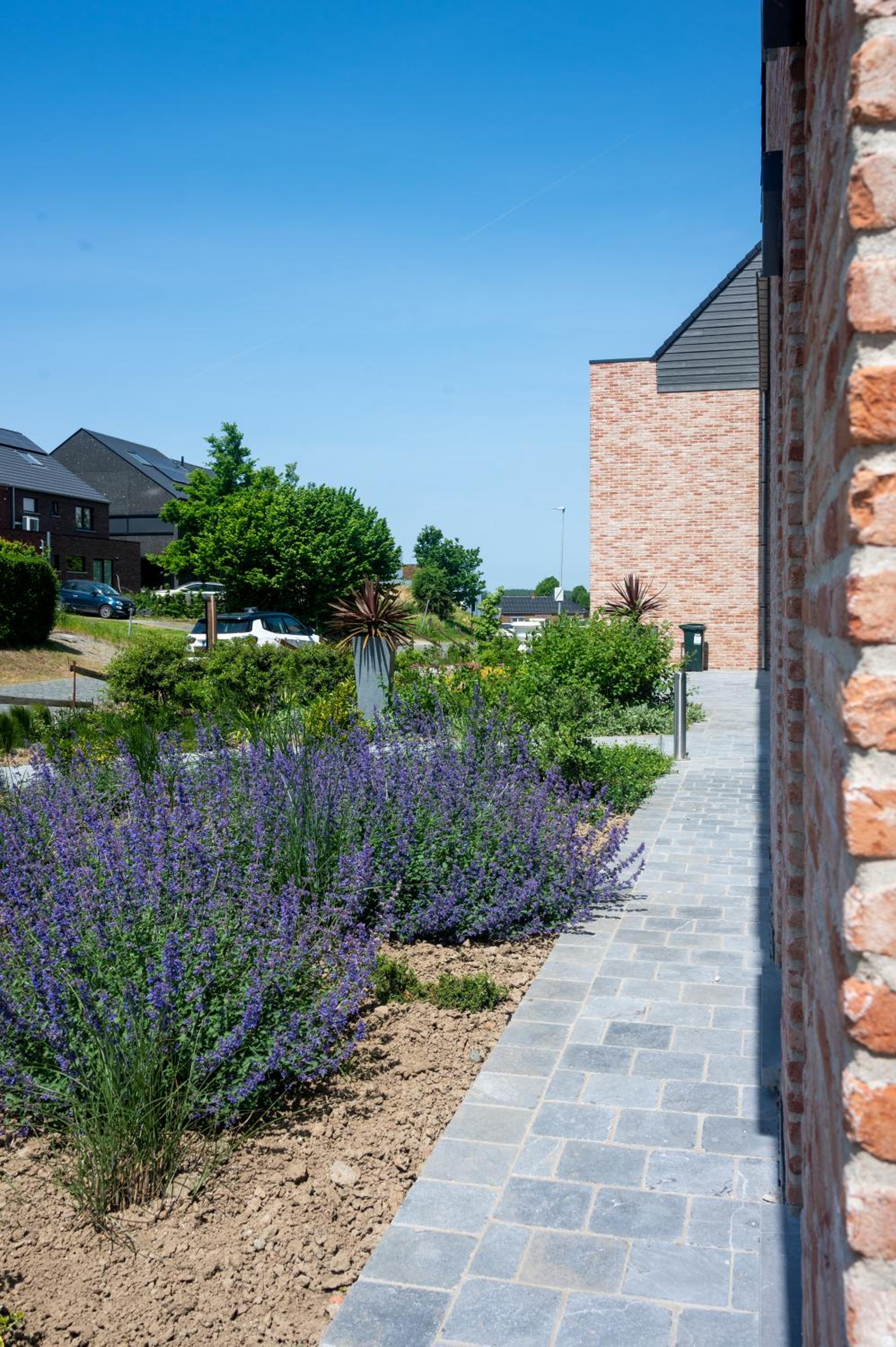 Flanders Cobblestone Paradise