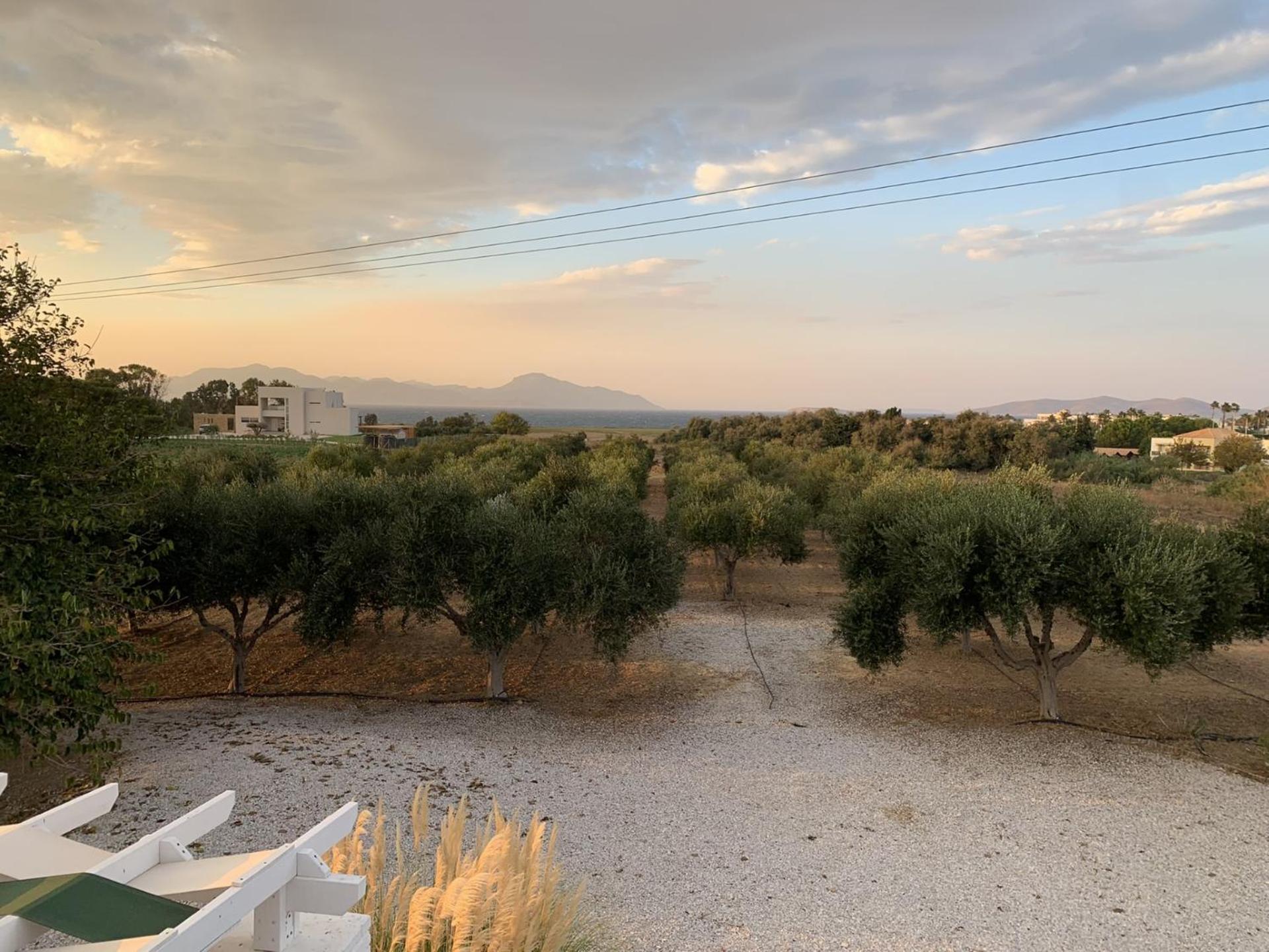 The Saint George photo 5