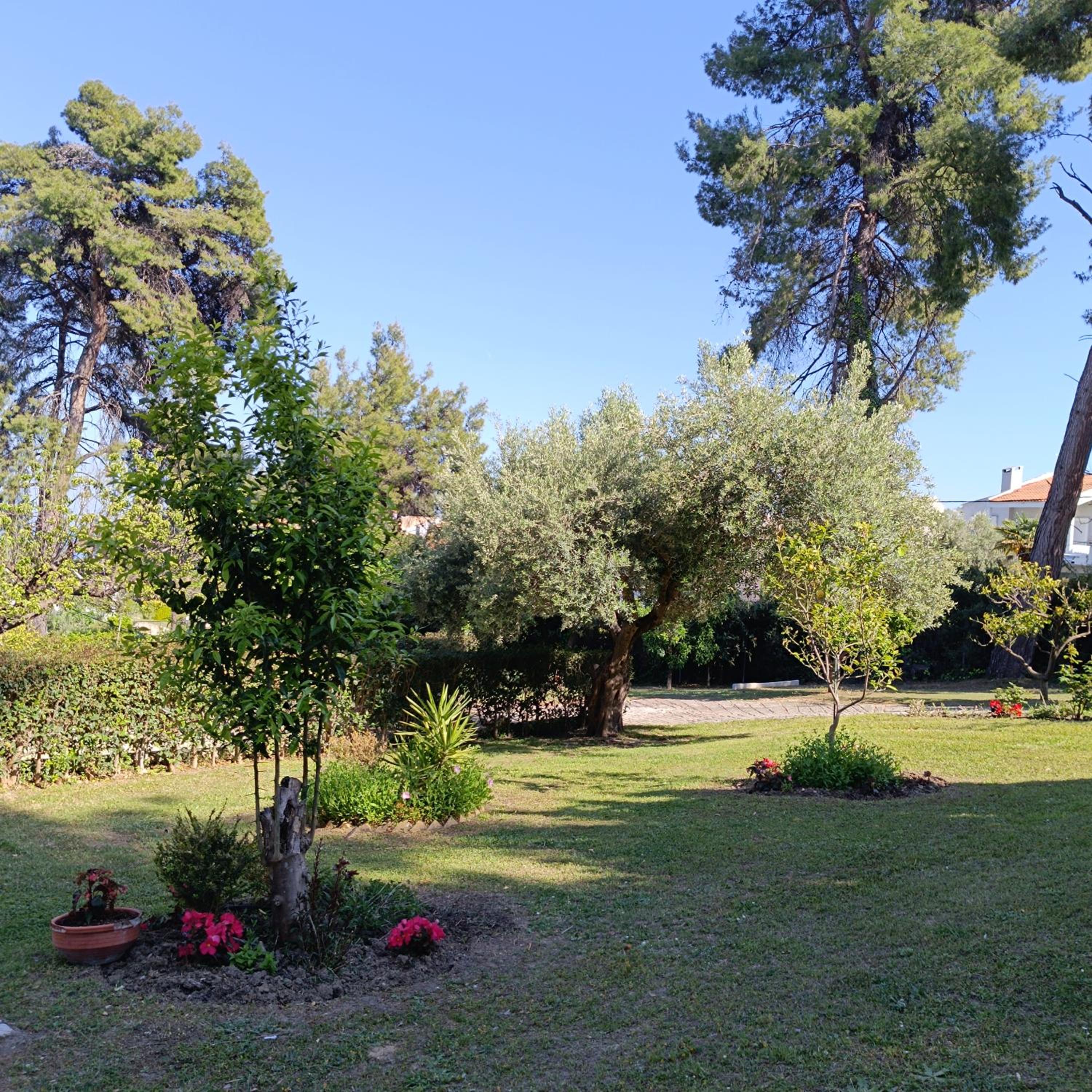 Photo 36