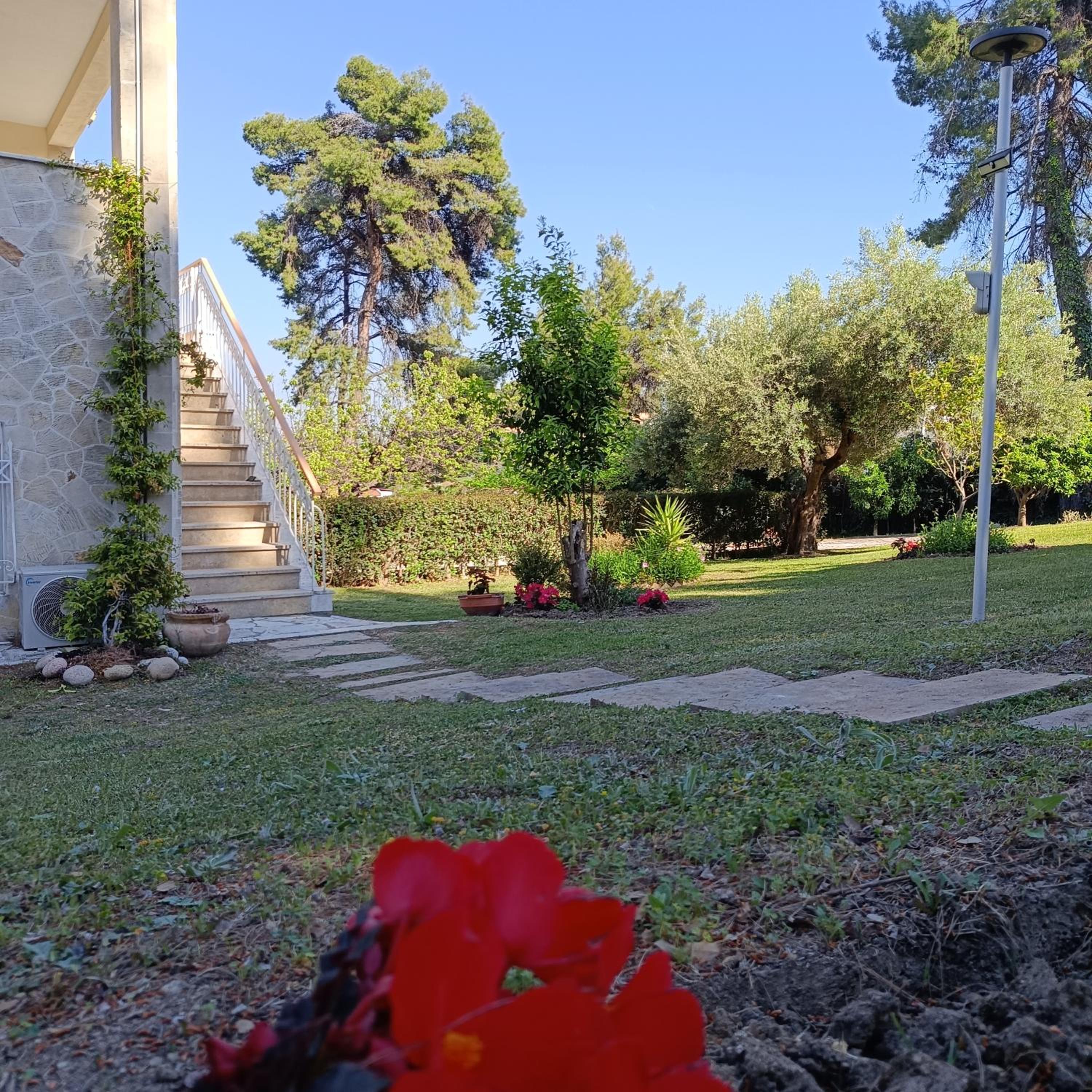Photo 35