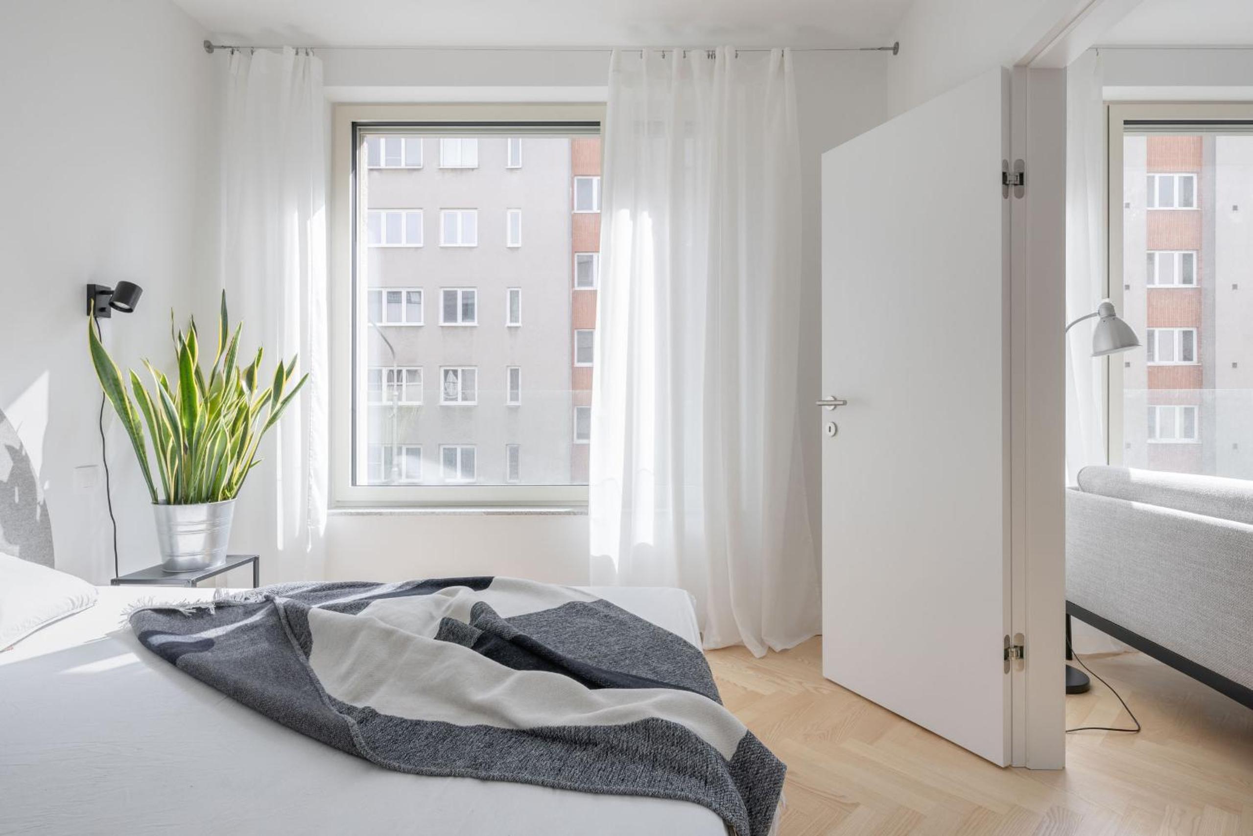 Coconut apartment