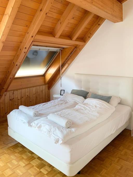 Charming penthouse with veranda in the center of Brig