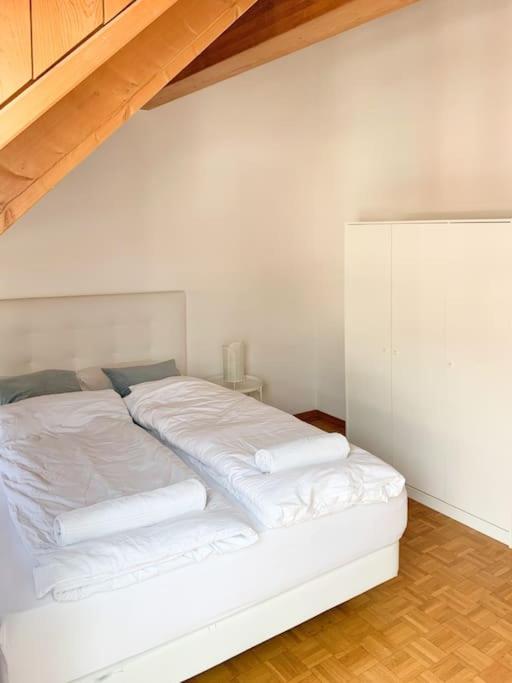 Charming penthouse with veranda in the center of Brig