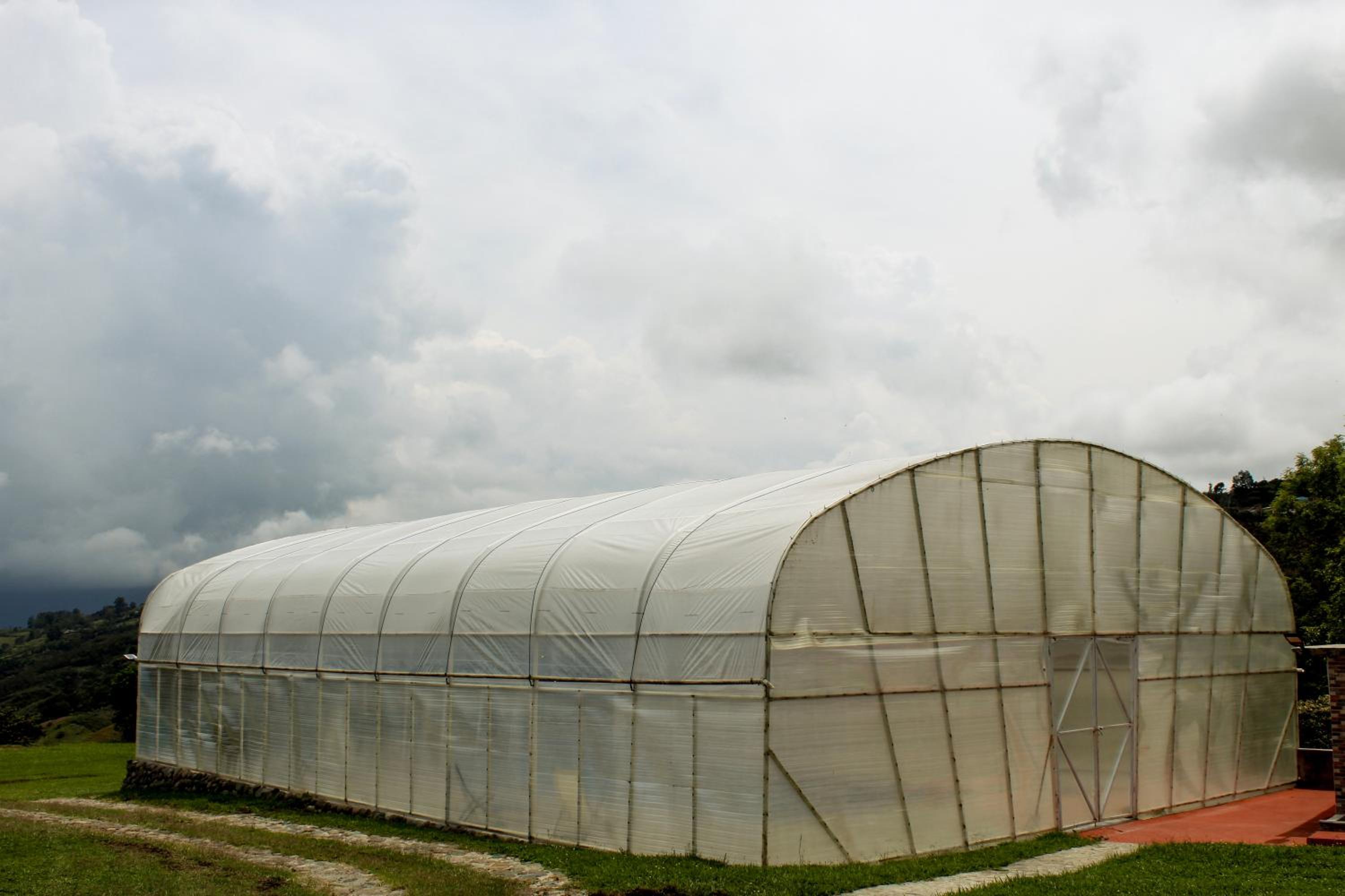 Finca cafetera turística