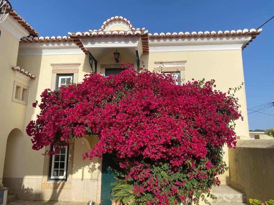 Casa do Mestre João