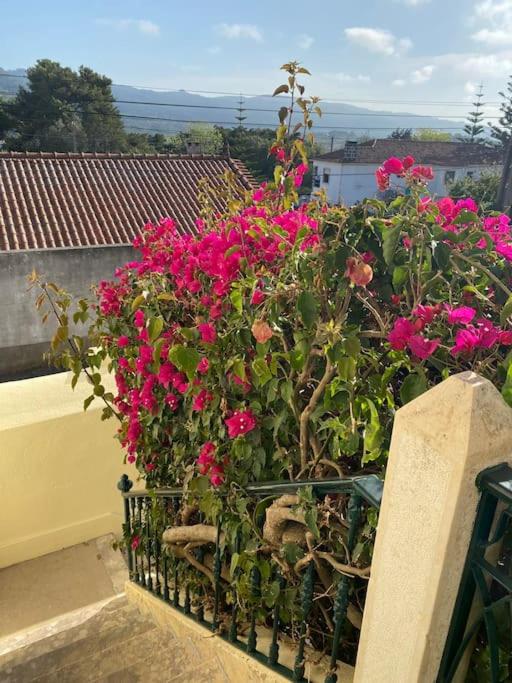 Casa do Mestre João