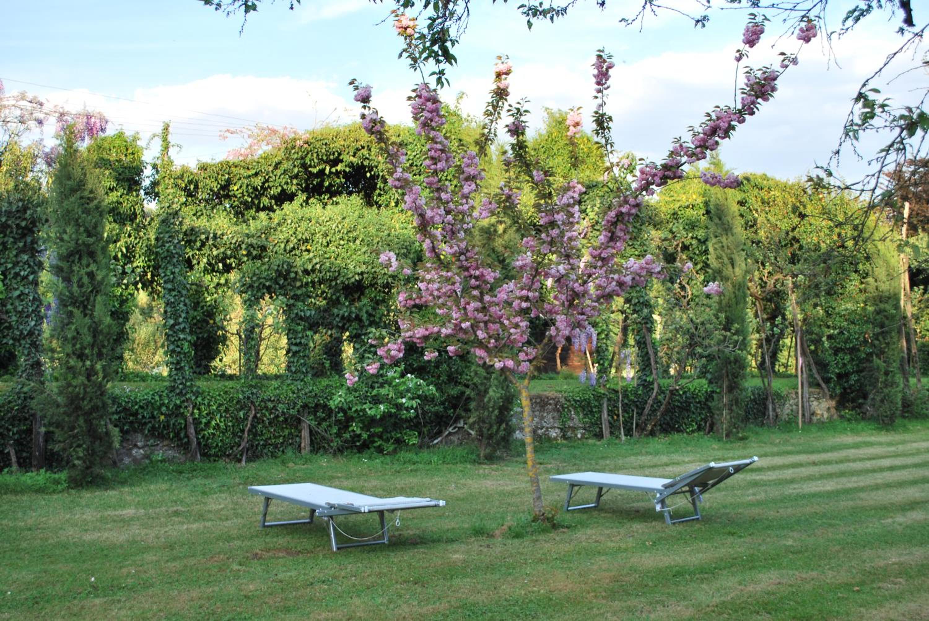 Villa Visocchi Bed and Breakfast view 3