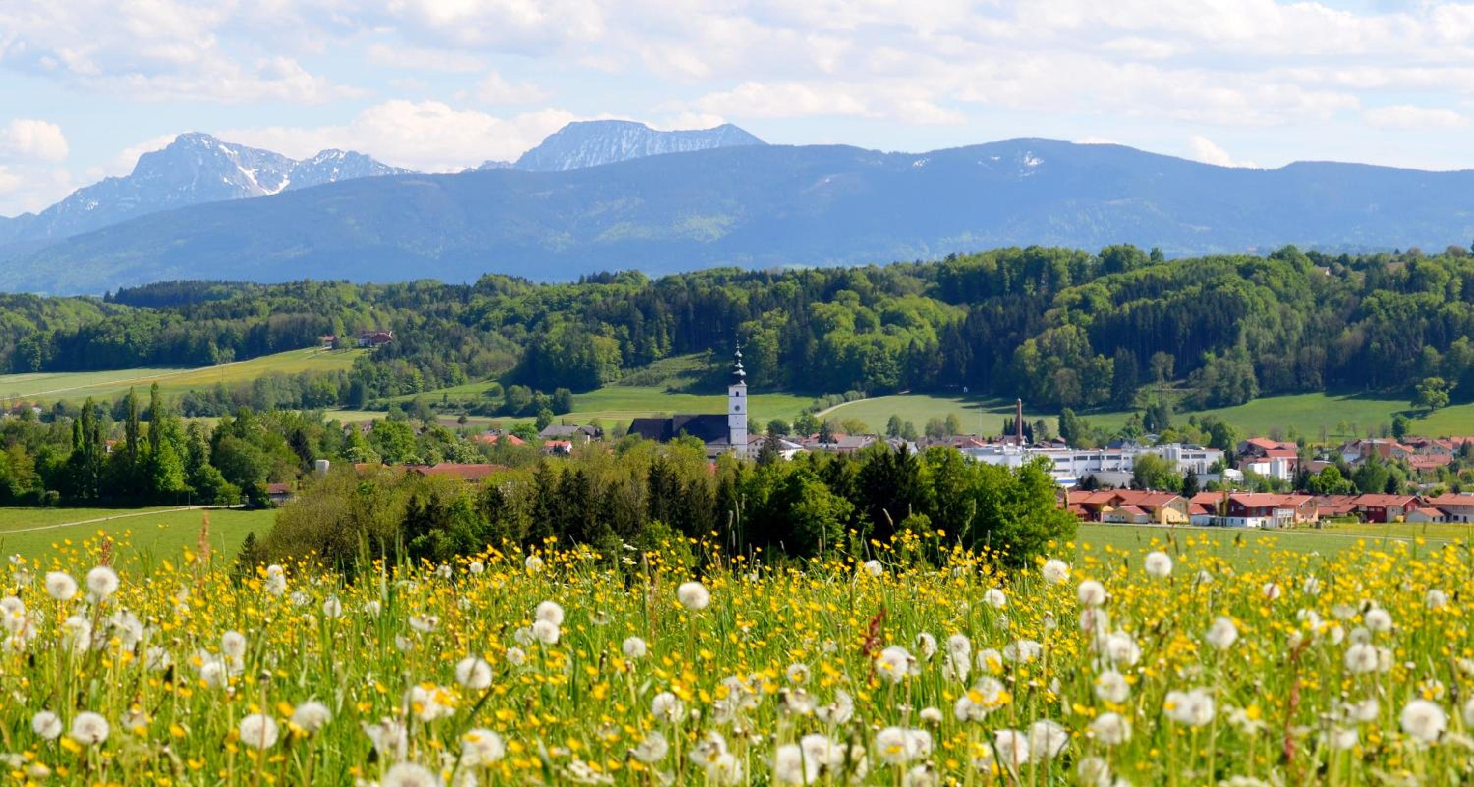 Ferienhaus Waldherr - Fewo 6 Pers