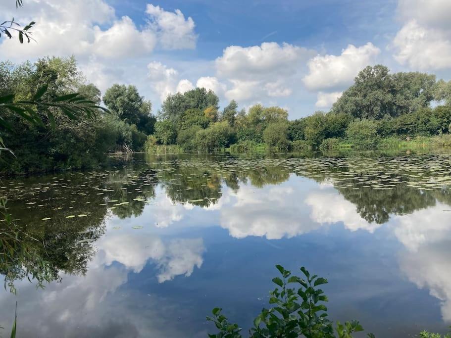 Spacious & Secluded Retreat in the Heart of Kent view 4