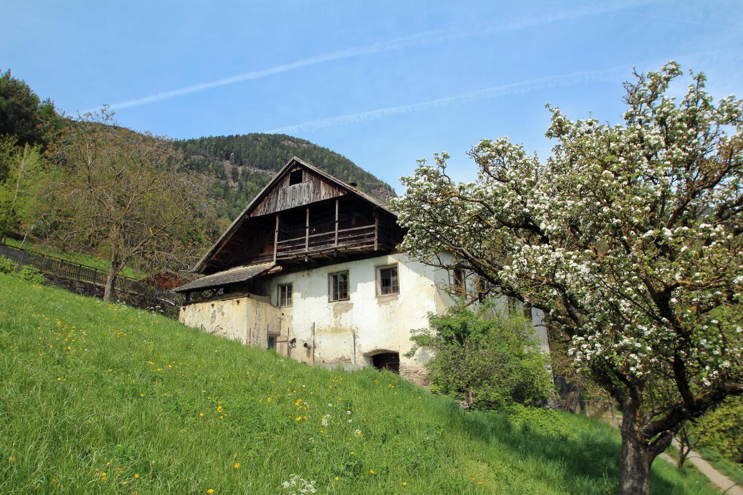 Pirchnerhof view 4