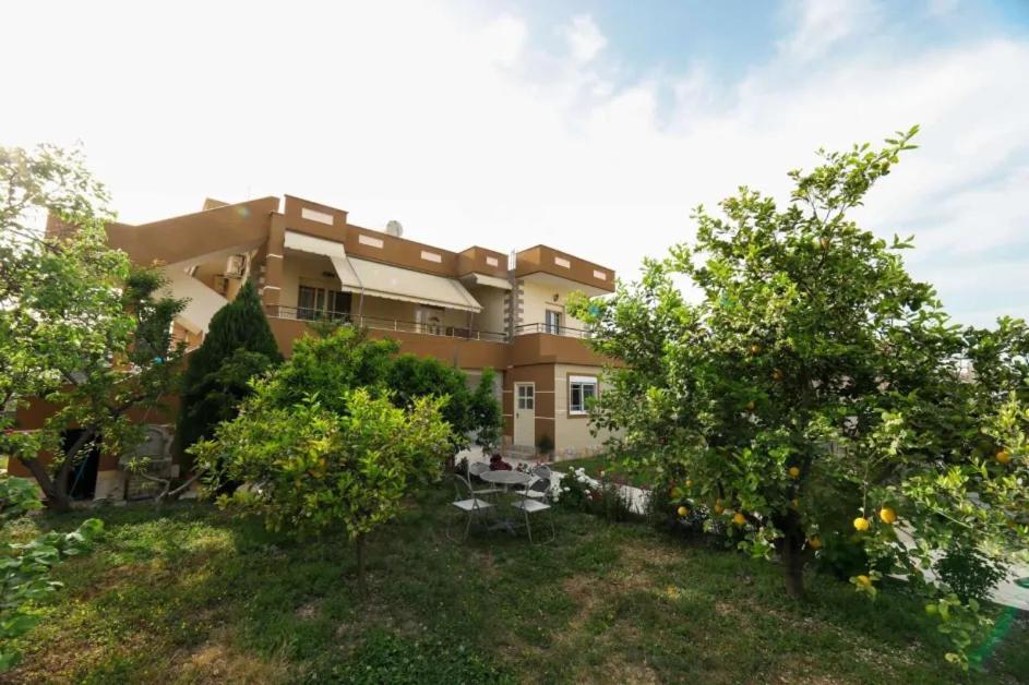 Vila Agolli