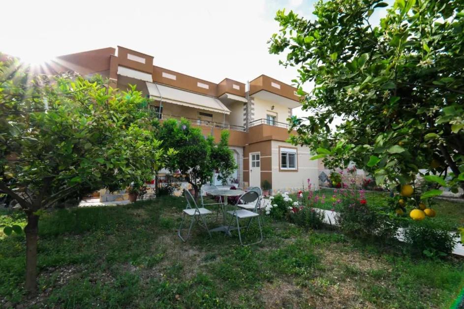 Vila Agolli