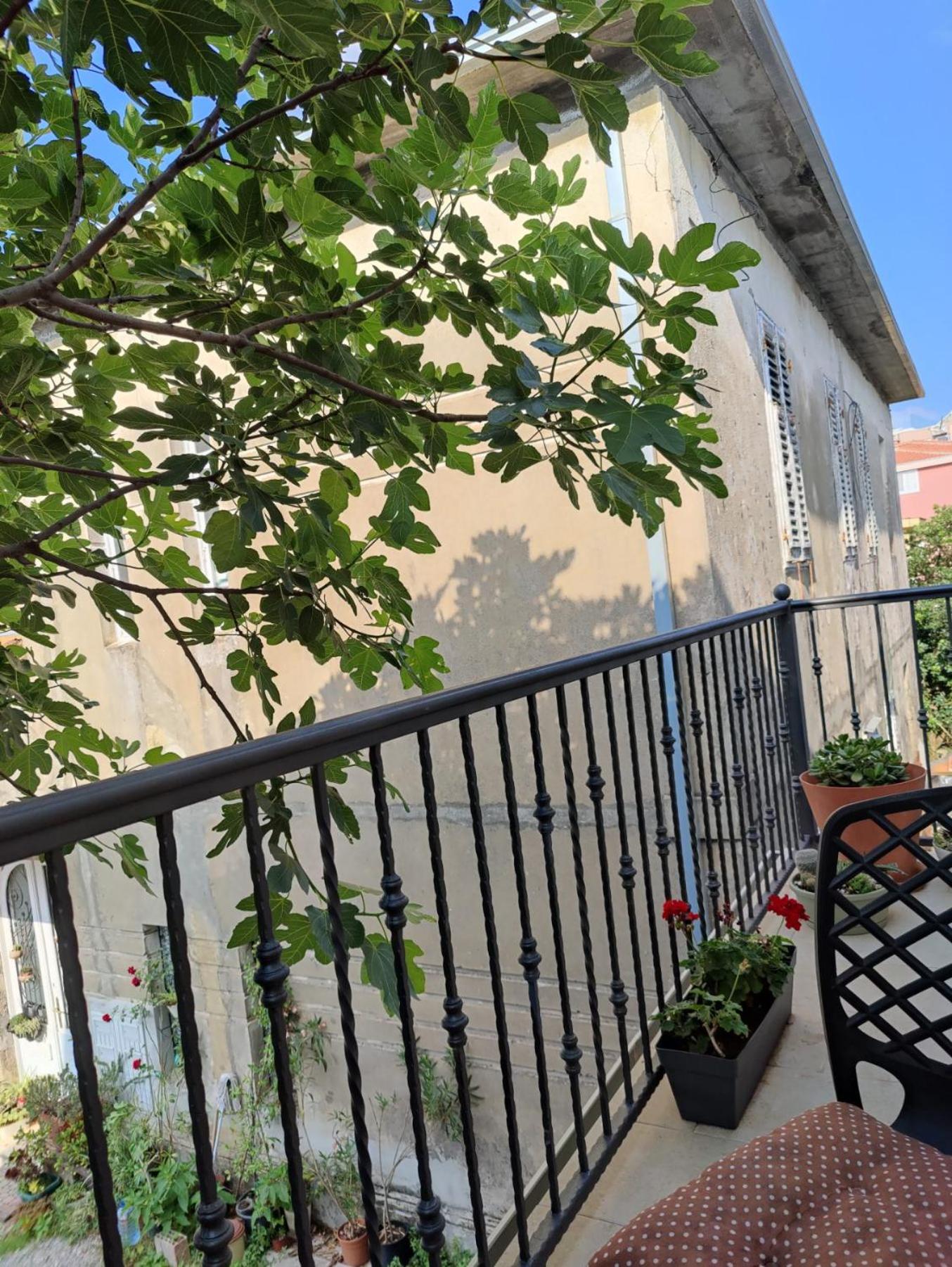 Miro guesthouse