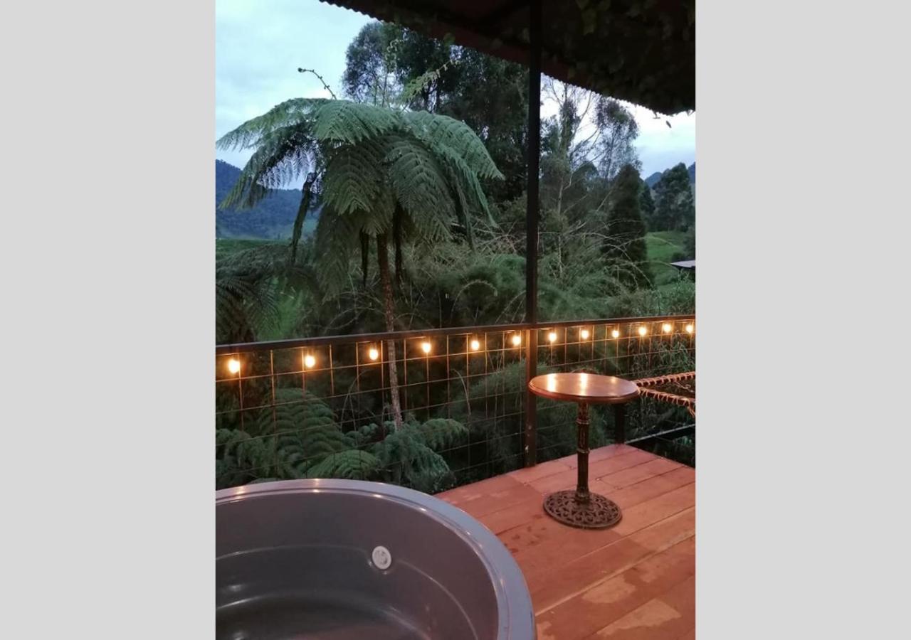 Hotel Cabañas y Chalets lujosos Mágica Luna Manizales