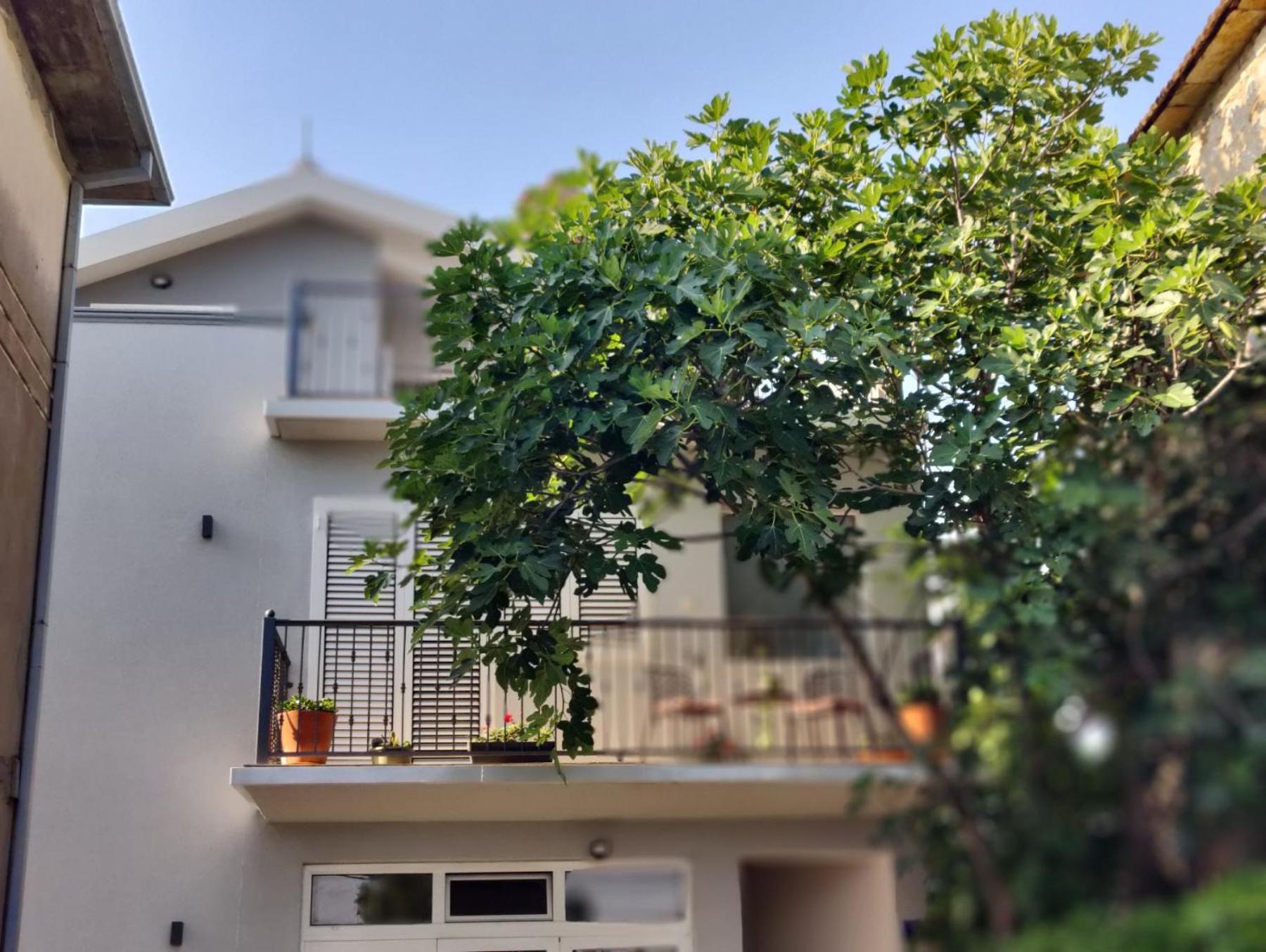 Miro guesthouse