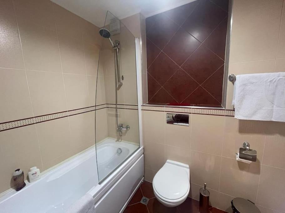 Bansko Vacations - Cozy 1-bedroom apartment Bansko - Property Image 14