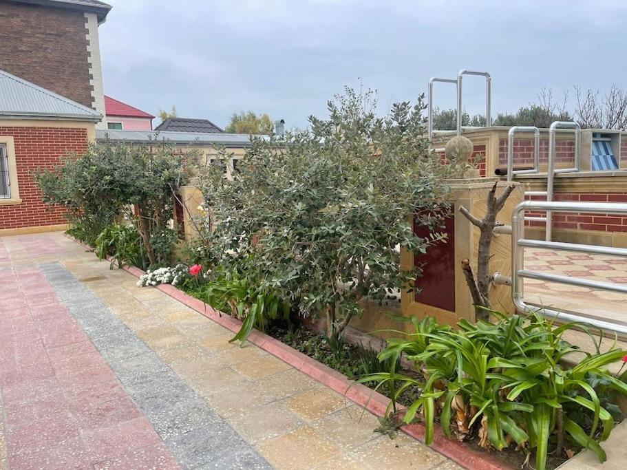 Countryside Tranquility: Rent a Beautiful Villa for the Ultimate Escape