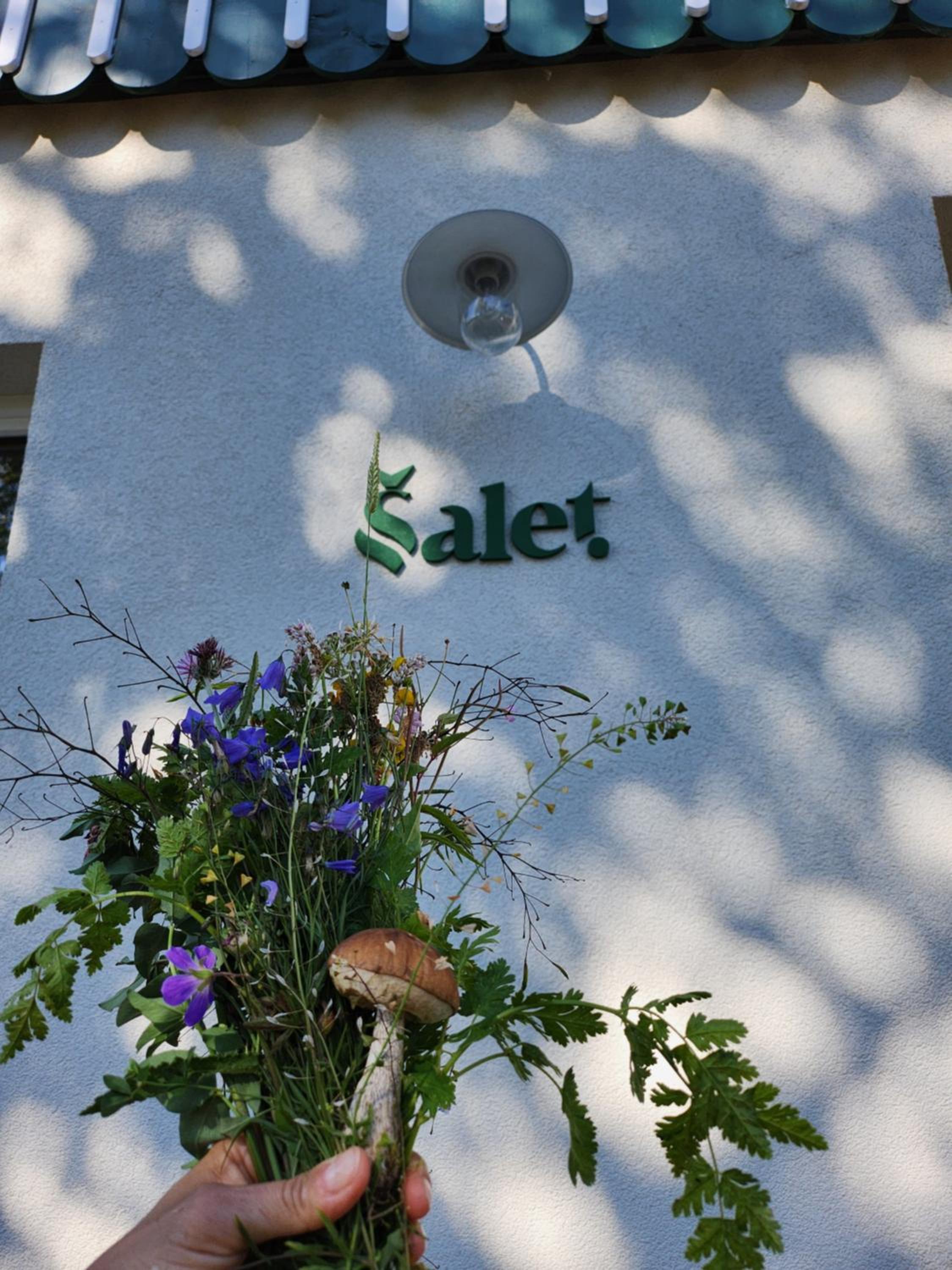 Šalet Hrabětice