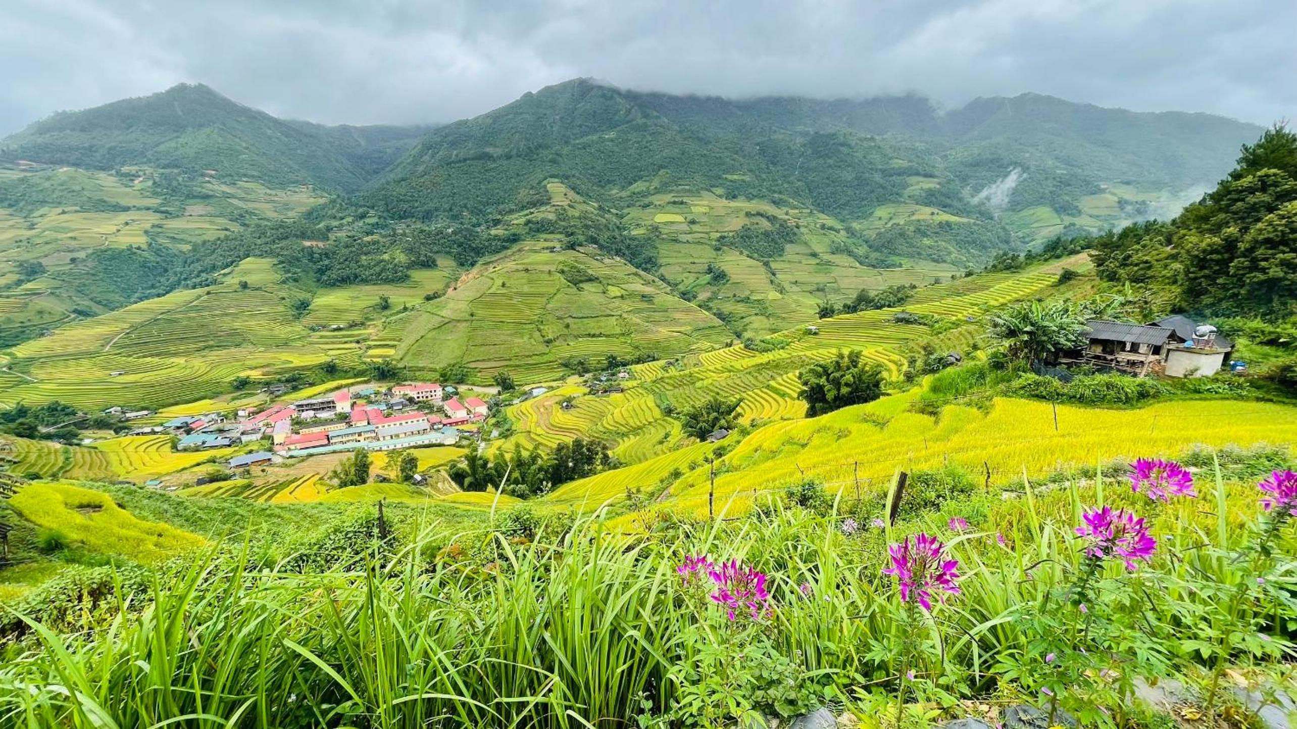 Photo 129