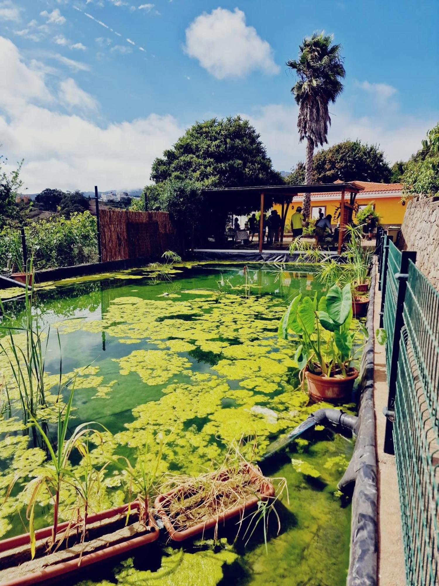 Ecofinca Selva Doramas