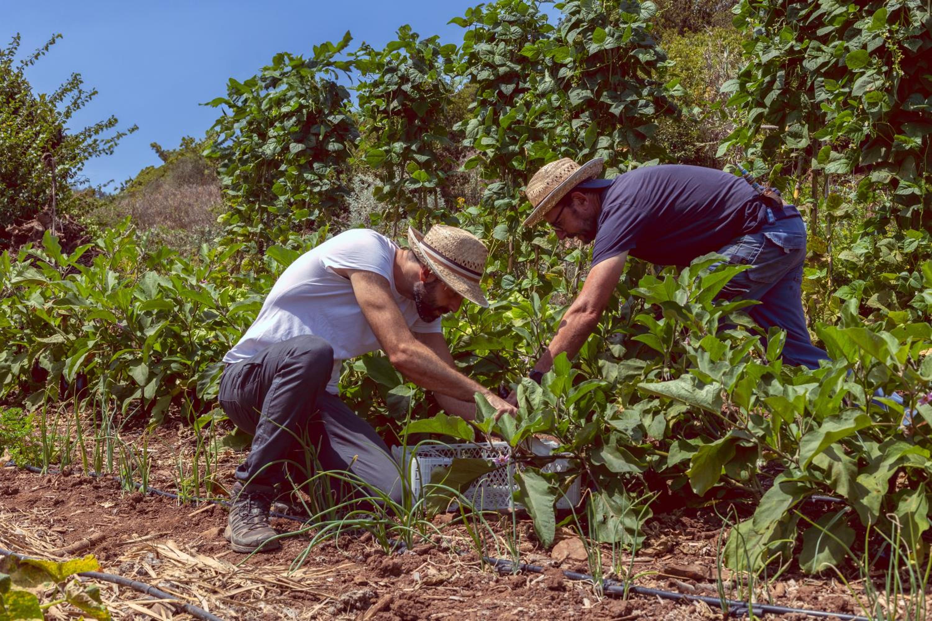 Ecofinca Selva Doramas