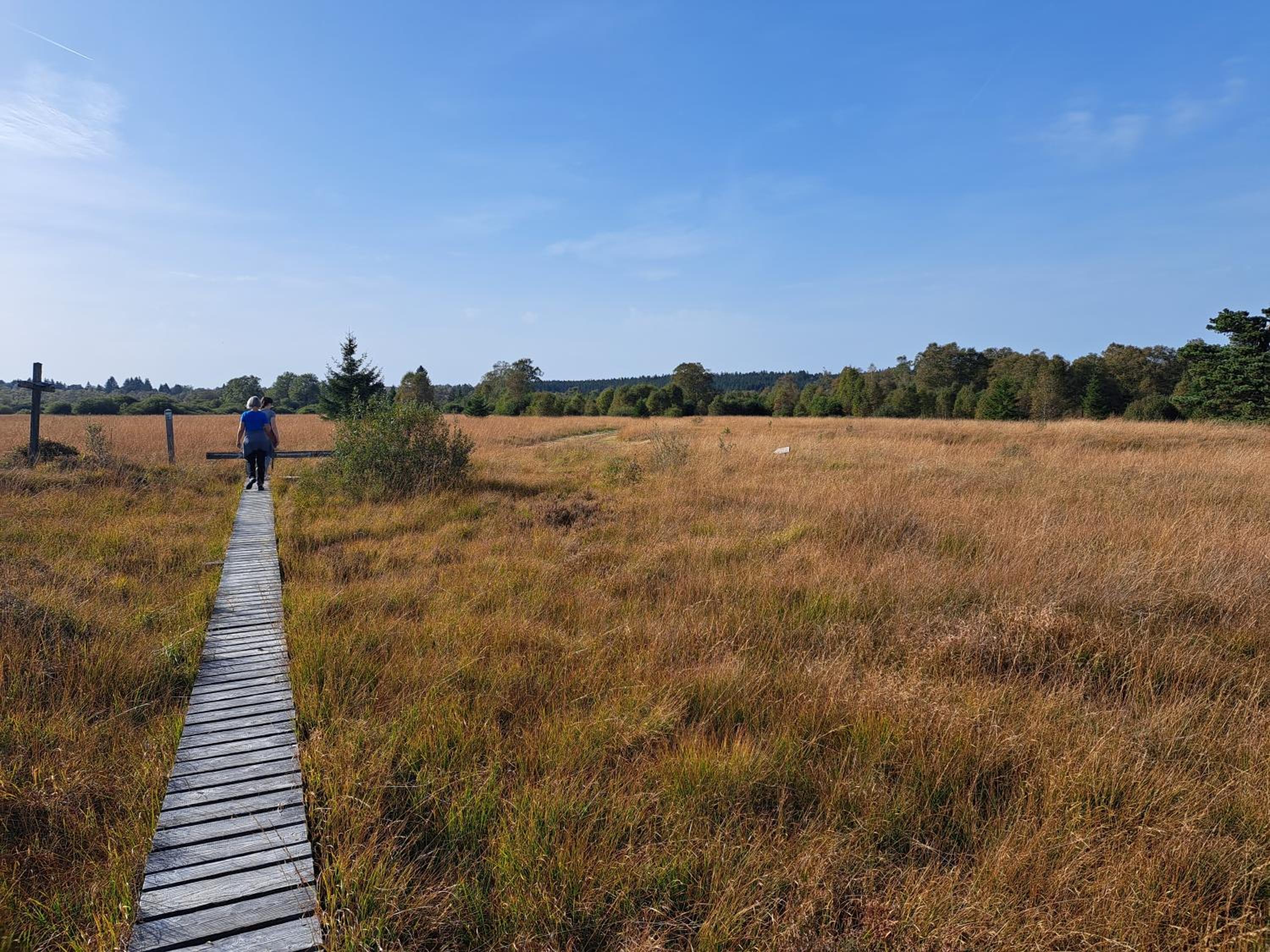 Androla am Vennbahnradweg