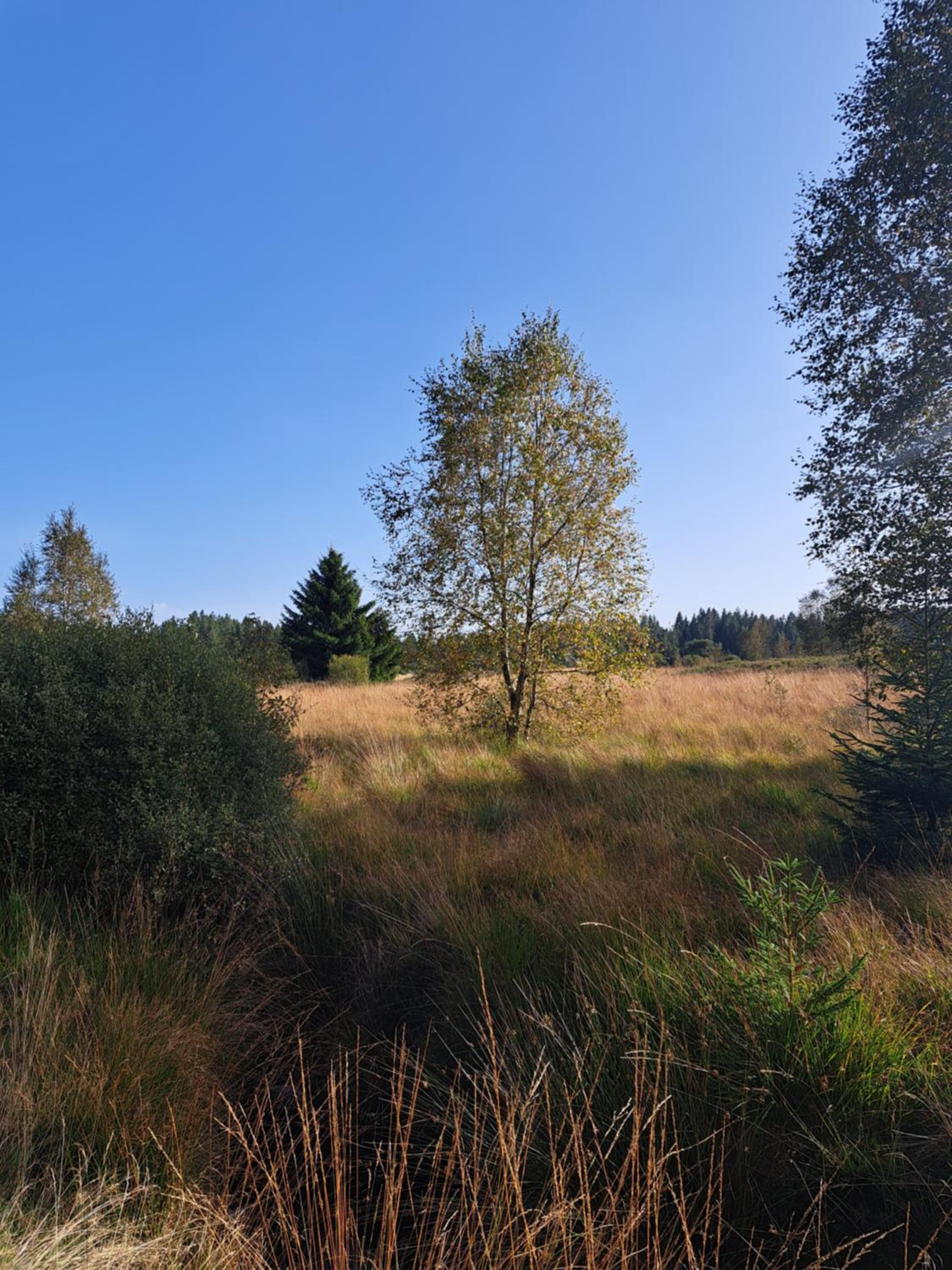 Androla am Vennbahnradweg