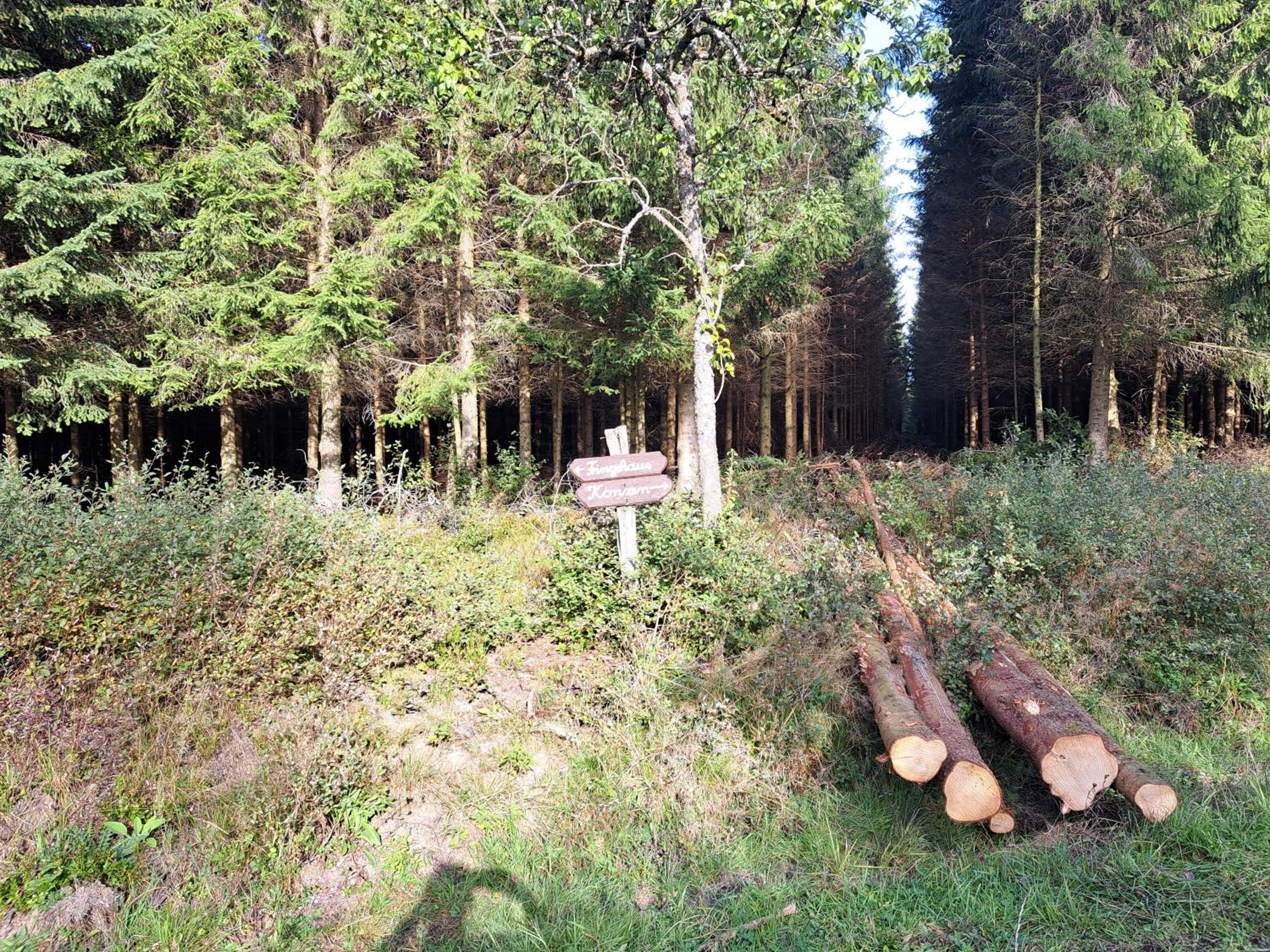 Androla am Vennbahnradweg