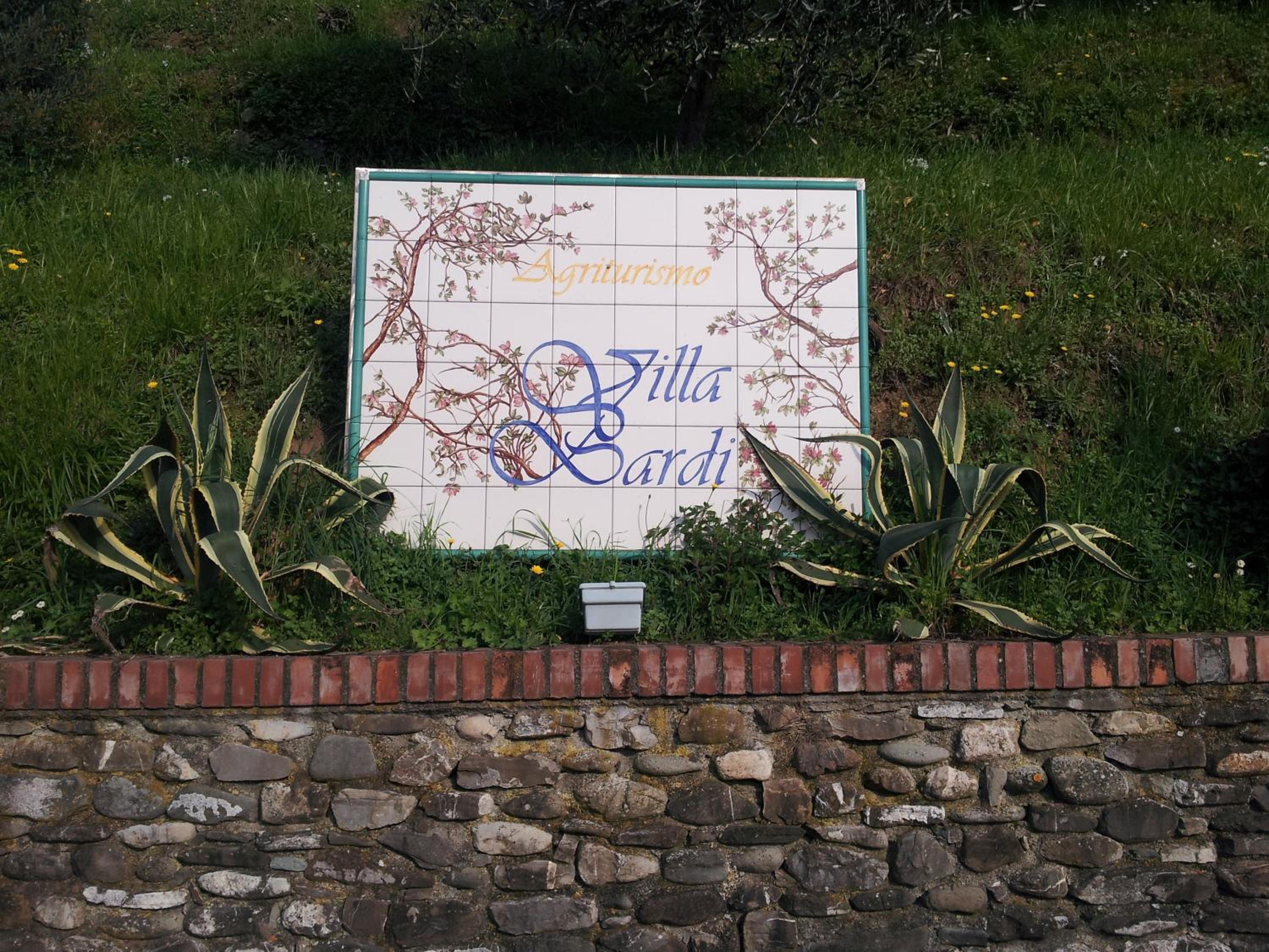 Photo 26