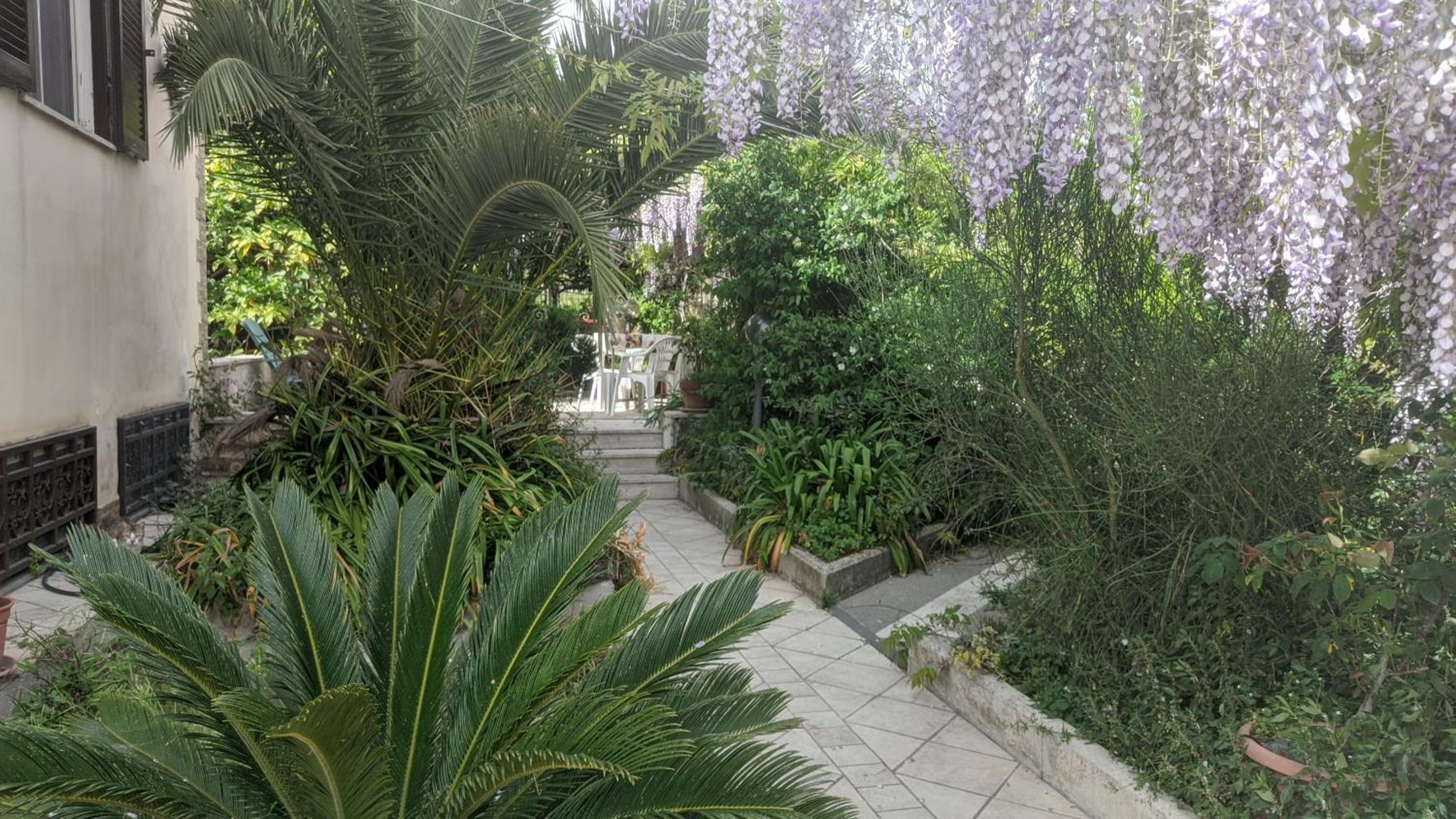 Photo 25