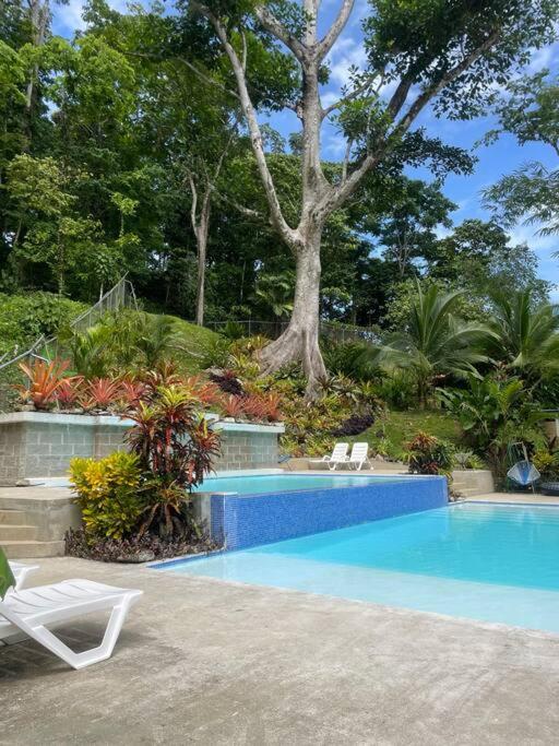 Villa Colibri - Private 1 bedroom Studio/Bachelor