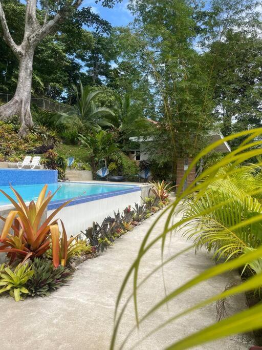 Villa Colibri - Private 1 bedroom Studio/Bachelor