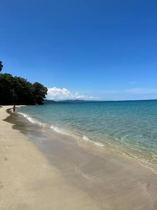 Villa Colibri - Private 1 bedroom Studio/Bachelor