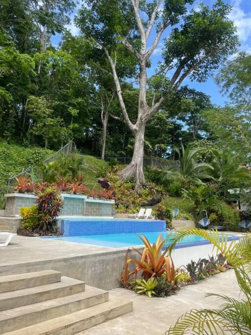 Villa Colibri - Private 1 bedroom Studio/Bachelor