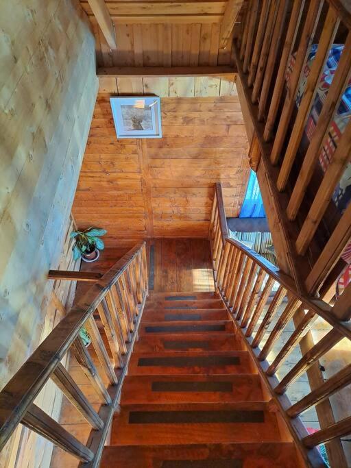 Cabaña Monarca – The BEST View in The Area!