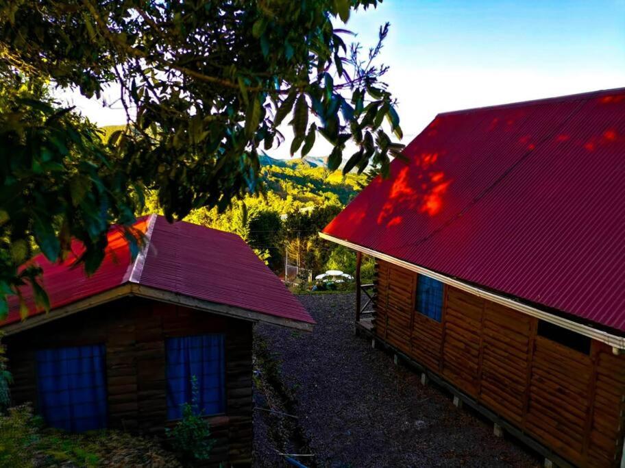 Cabaña Monarca – The BEST View in The Area!