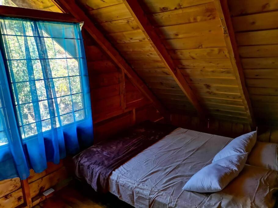 Cabaña Monarca – The BEST View in The Area!