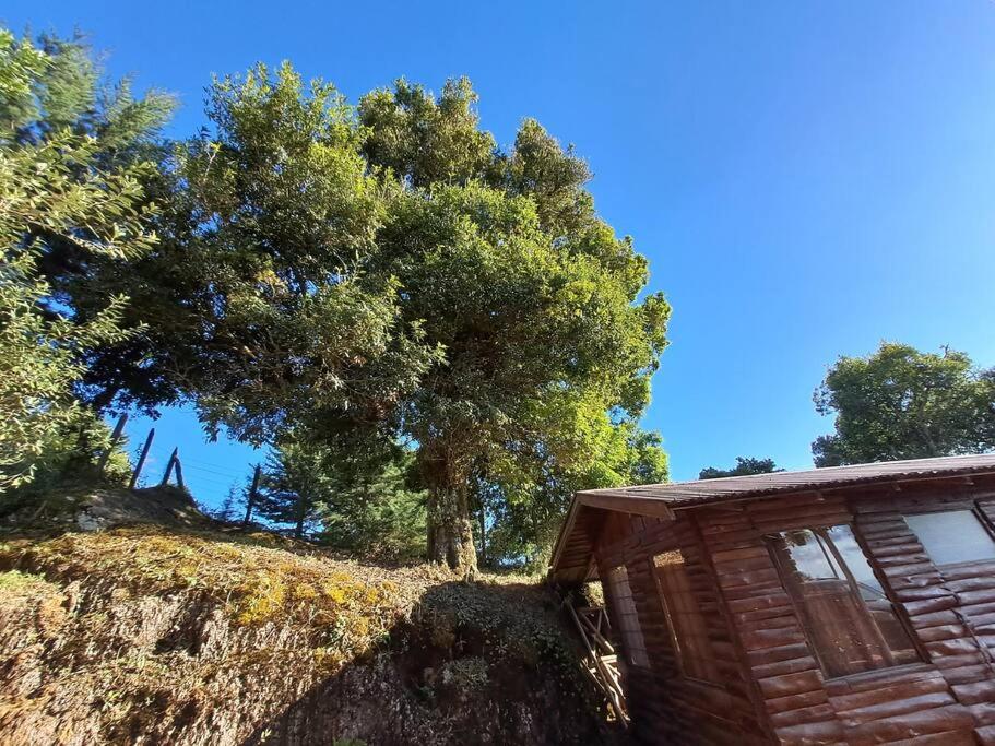 Cabaña Monarca – The BEST View in The Area!