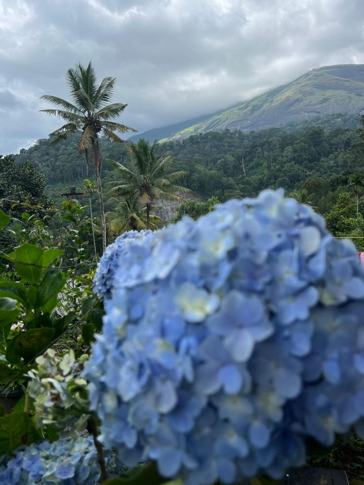 NATURE FAMILY HOMESTAY view 3