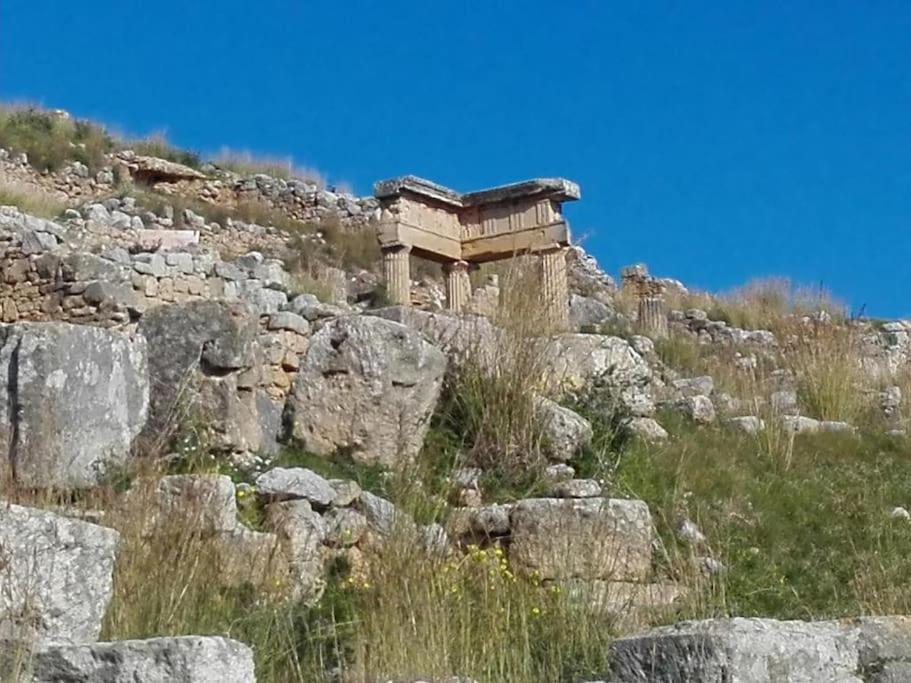 Domus Mea Monolocale
