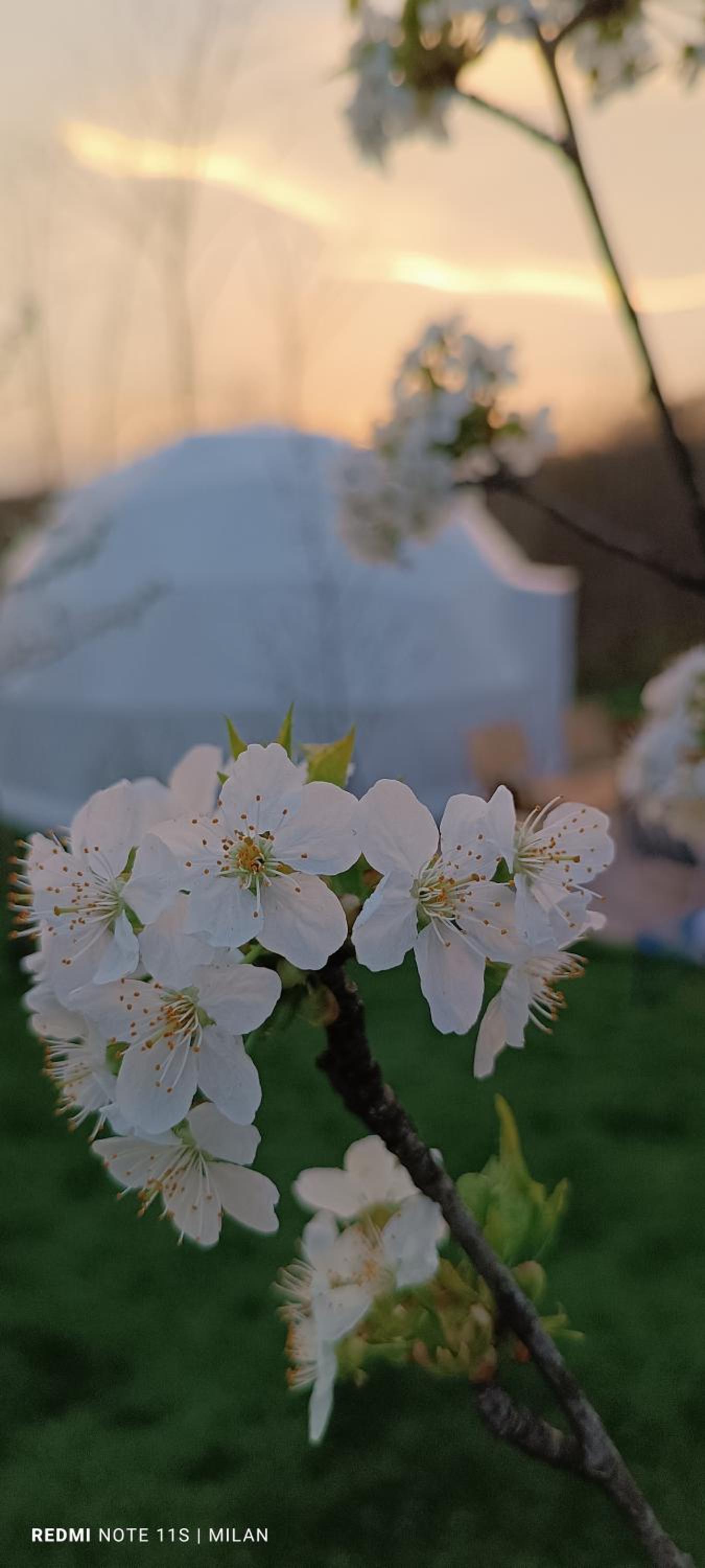 Glamping Beograd
