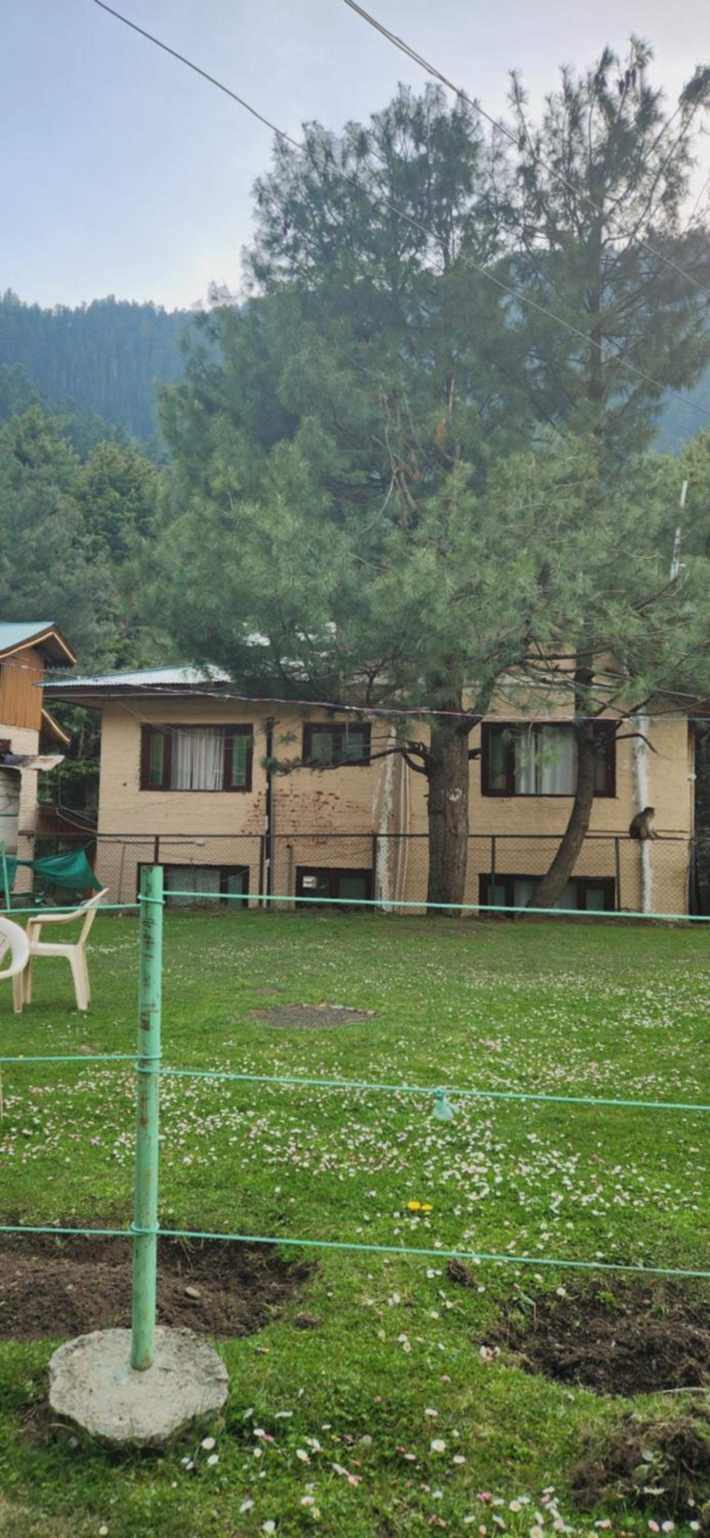 Zaafron Resort