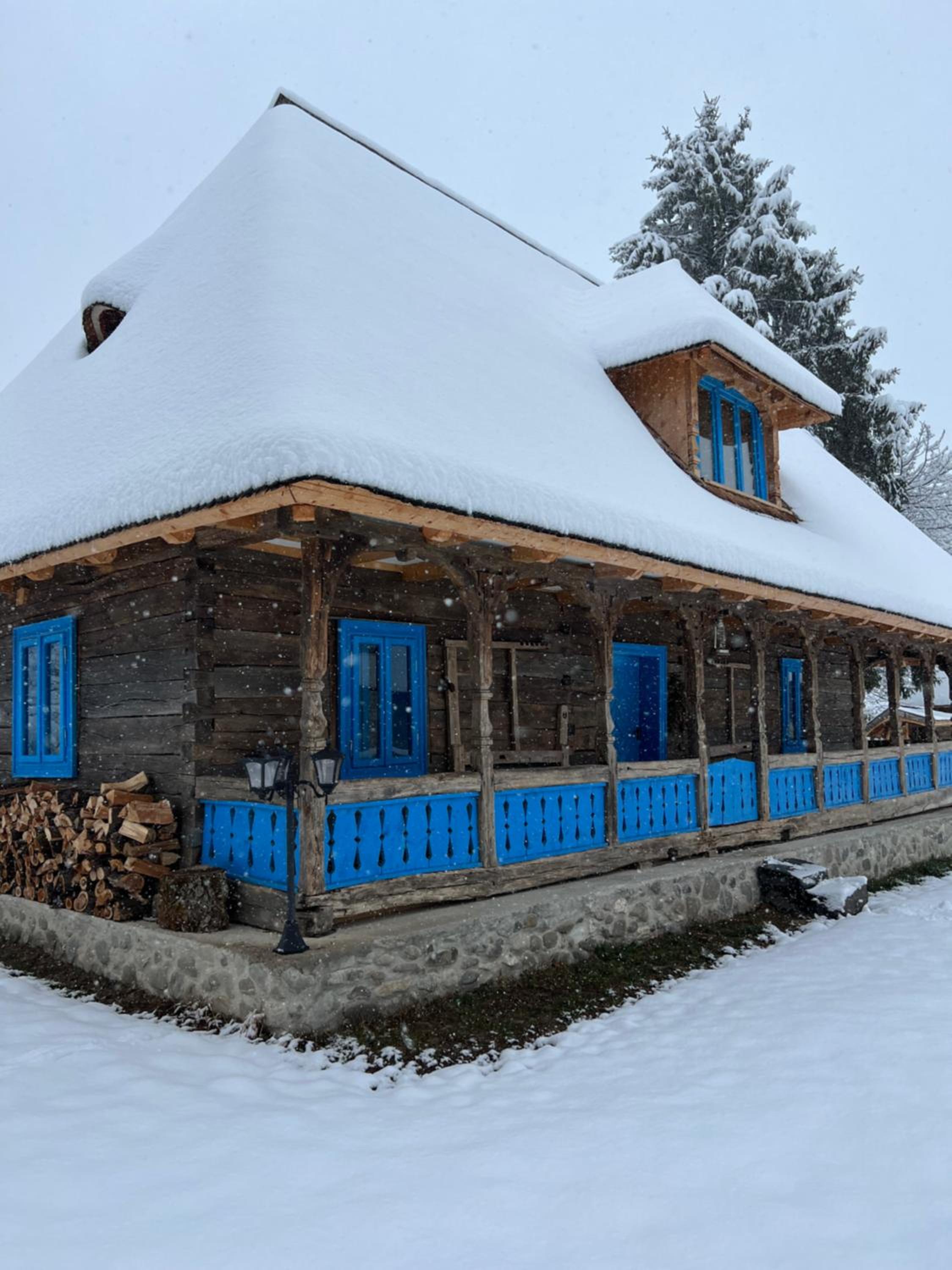 La Patru Daci